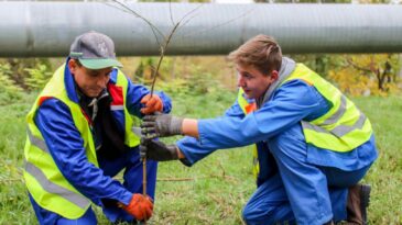 Angajații Termoelectrica, implicați activ în acțiunile dedicate înverzirii plaiului