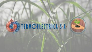 PRODUCEM ENERGIE VERDE. Pașii de funcționare a Centralei pe bază de biomasă