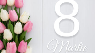 Mesaj de felicitare cu ocazia Zilei Internaționale a Femeii