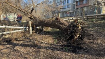 Incident la rețelele termice din sectorul Rîșcani: echipele „Termoelectrica” au intervenit pentru remedierea defecțiunii