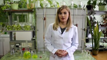 Lucrări de înlăturare a unui deranjament la o conductă termică din sectorul Buiucani